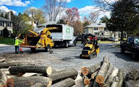 Seasonal Cleanup (Spring/Fall) in Browns Mills, NJ